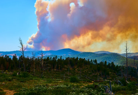 Image showing a greenspace with a wildfire and heavy smoke.